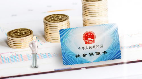 軟件開發人員公司職工社會保險年度費用分析